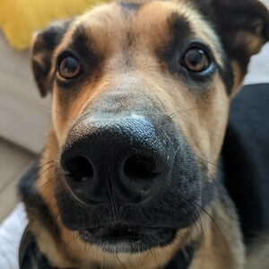 Fundraising Page: Carl Schwagler